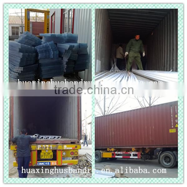 Egg collection laying hen cage/cheap battery layer chicken cage