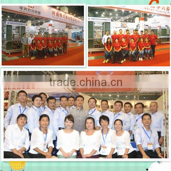 commercial chicken wire mesh cage with auto-equipments