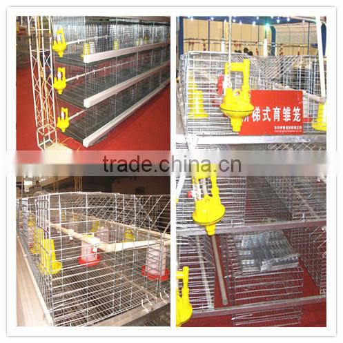 commercial chicken wire mesh cage with auto-equipments