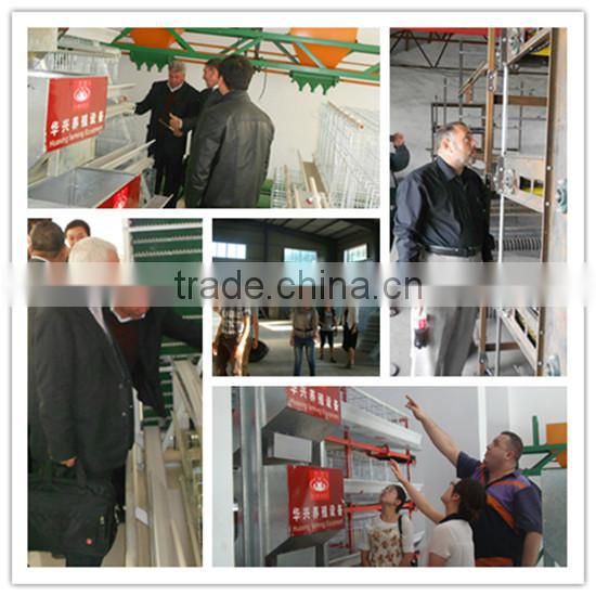 A type automatic brooder cage for chicken