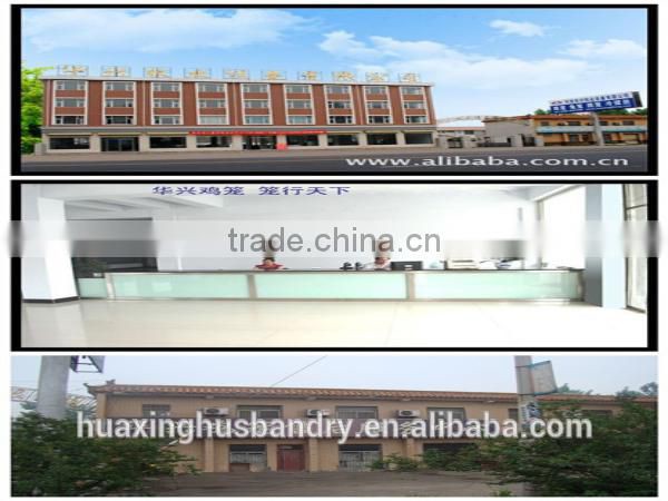 Egg collection laying hen cage/cheap battery layer chicken cage