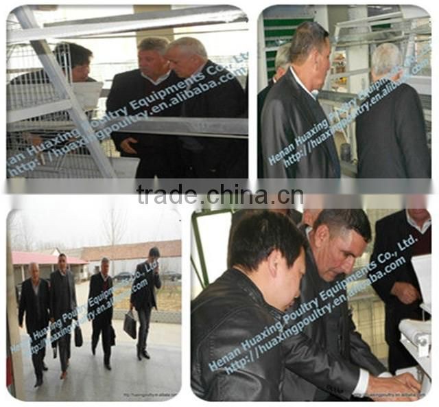 commercial chicken wire mesh cage with auto-equipments