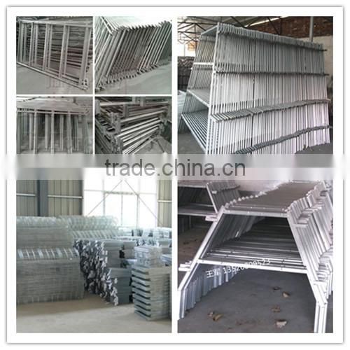 A type automatic brooder cage for chicken