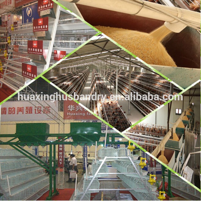 broiler cage system/chicken cage/chicken coop