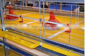 Automatic breeding chicken cage