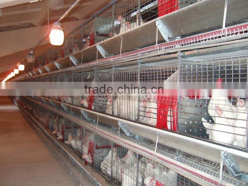automatic chicken cage