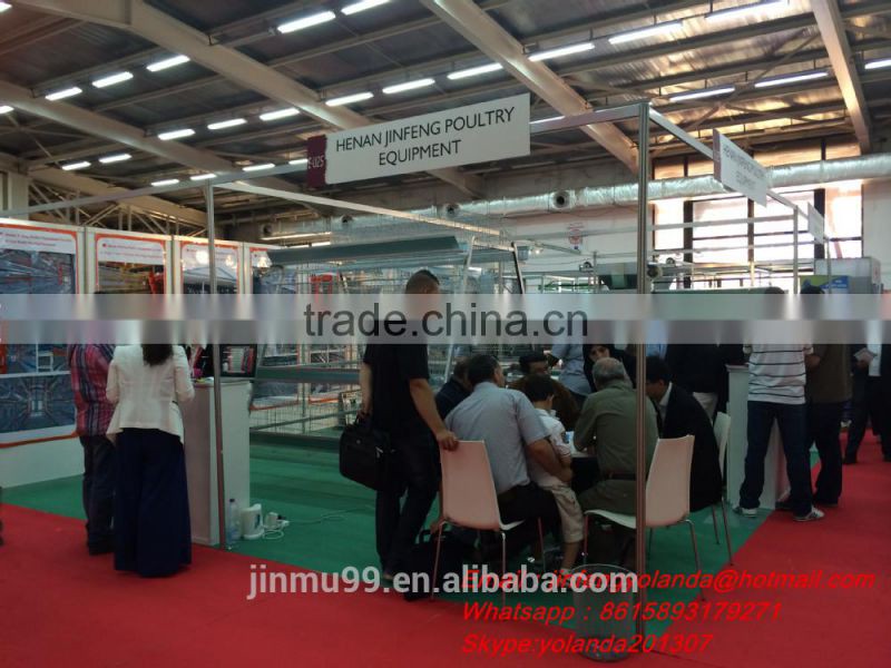 A type automatic chicken feeding system chicken cage