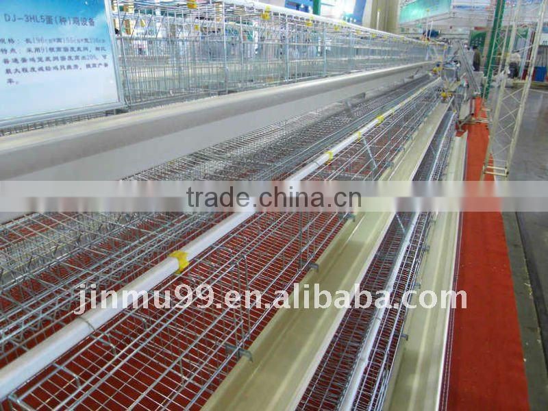 A type hotsale best quality automatic chicken cage