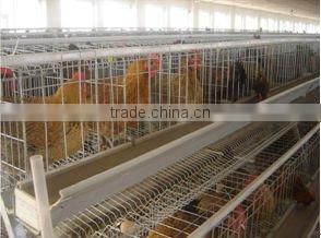 Automatic breeding chicken cage
