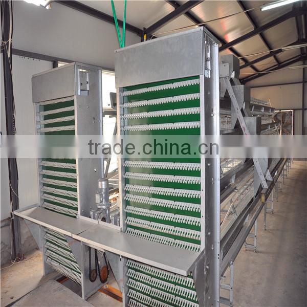 factory selling metal chicken house