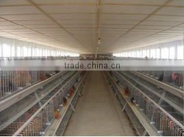 Automatic breeding chicken cage