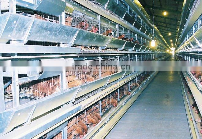 automatic chicken cage