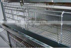 Automatic breeding chicken cage