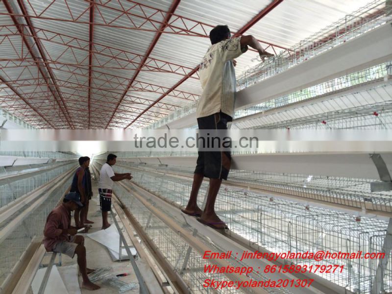 A type automatic chicken feeding system chicken cage