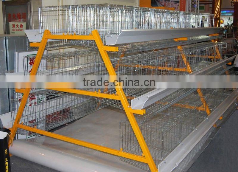 broiler chicken layers cage