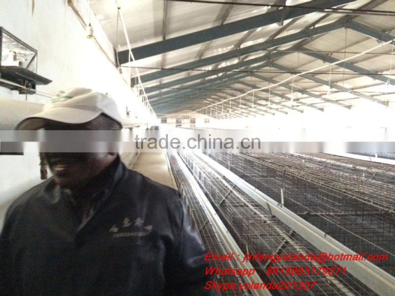 A type automatic chicken feeding system chicken cage