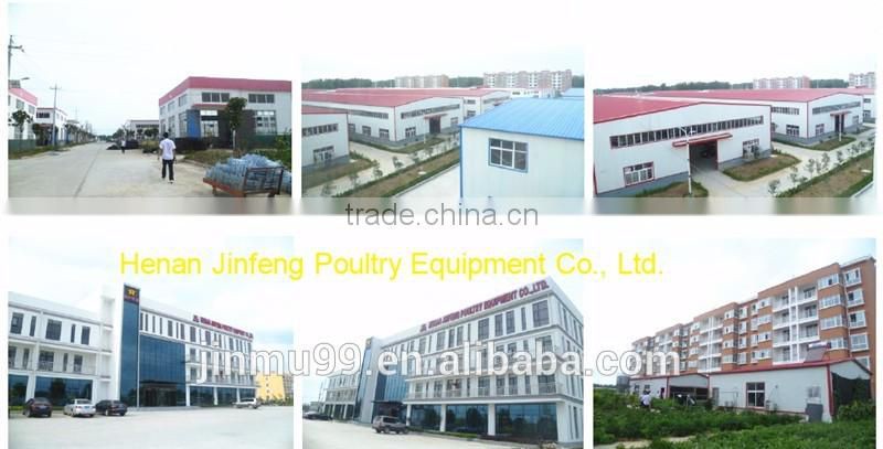 H type JINFENG Brand broiler chicken cage for tropical area/best price poultry equipment