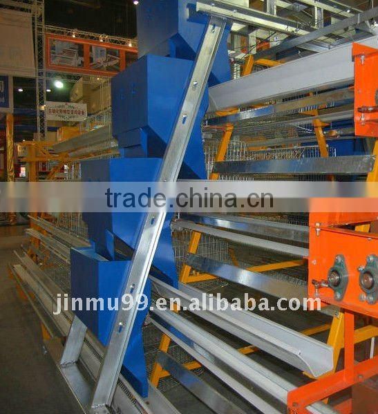 a type automatic chicken feeding system