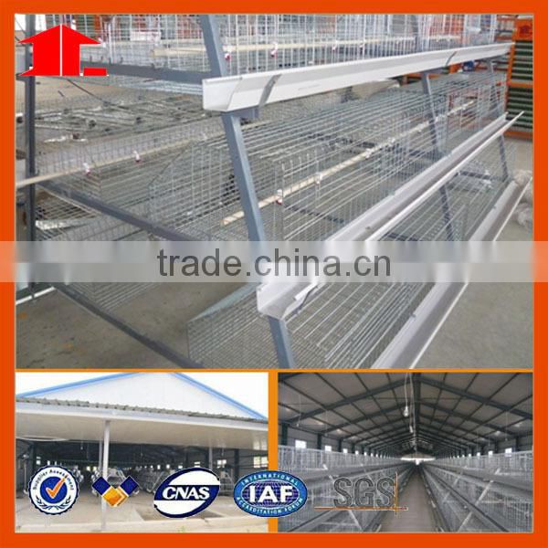 Broiler Chicken Cage