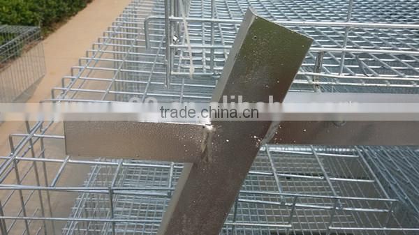 A type hotsale best quality automatic chicken cage