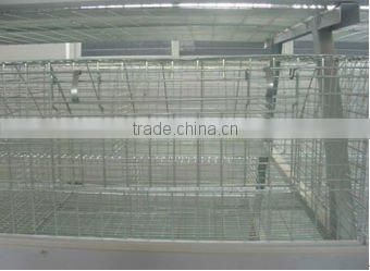 Automatic breeding chicken cage
