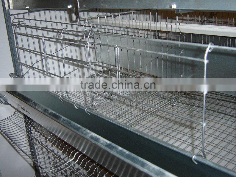 automatic chicken cage