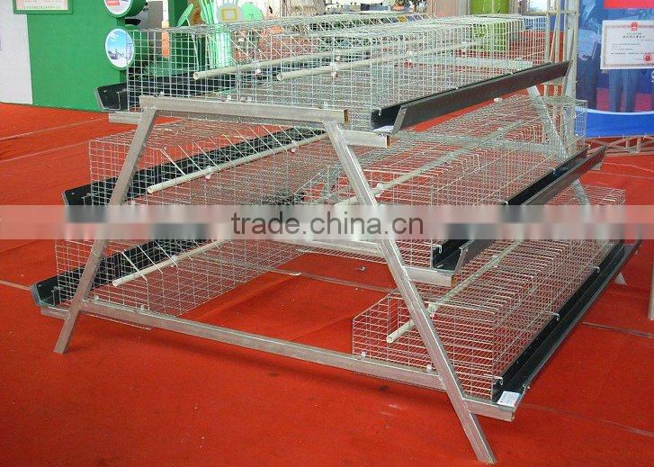 broiler chicken layers cage