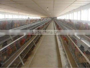 Automatic breeding chicken cage