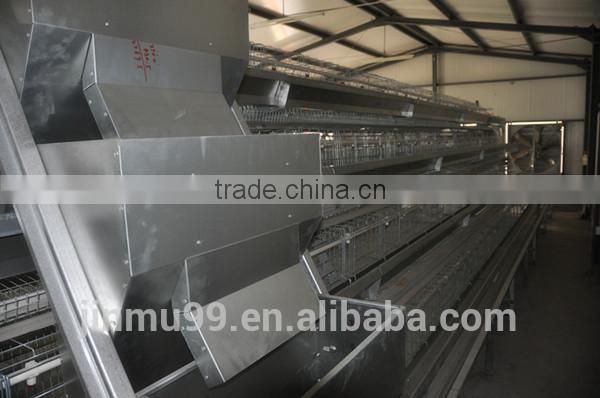 A type automatic chicken feeding system chicken cage