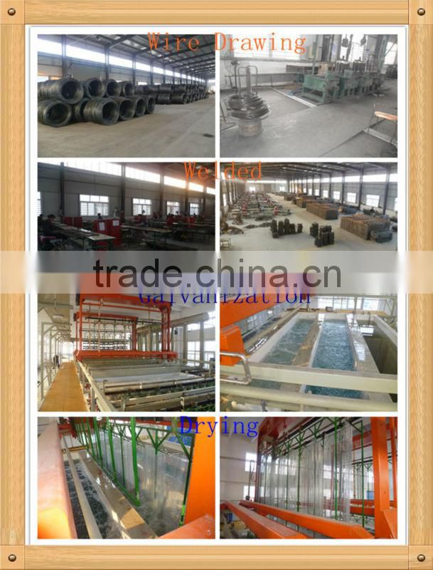 hot-sale good quality poultry farm layer chicken cage