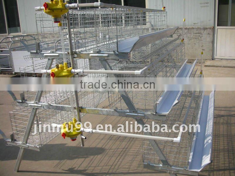 A type hotsale best quality automatic chicken cage