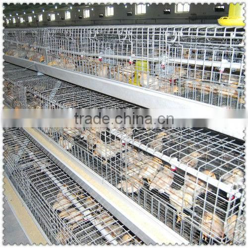 H type JINFENG Brand broiler chicken cage for tropical area/best price poultry equipment
