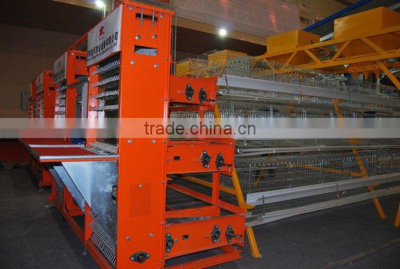A type hotsale best quality automatic chicken cage