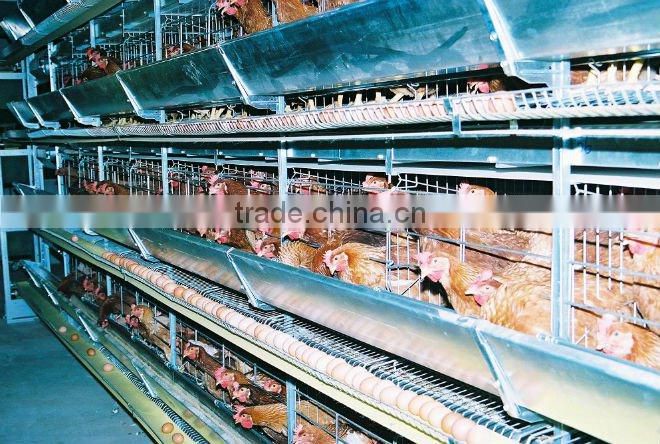 automatic chicken cage