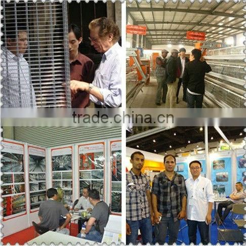 hot-sale good quality poultry farm layer chicken cage