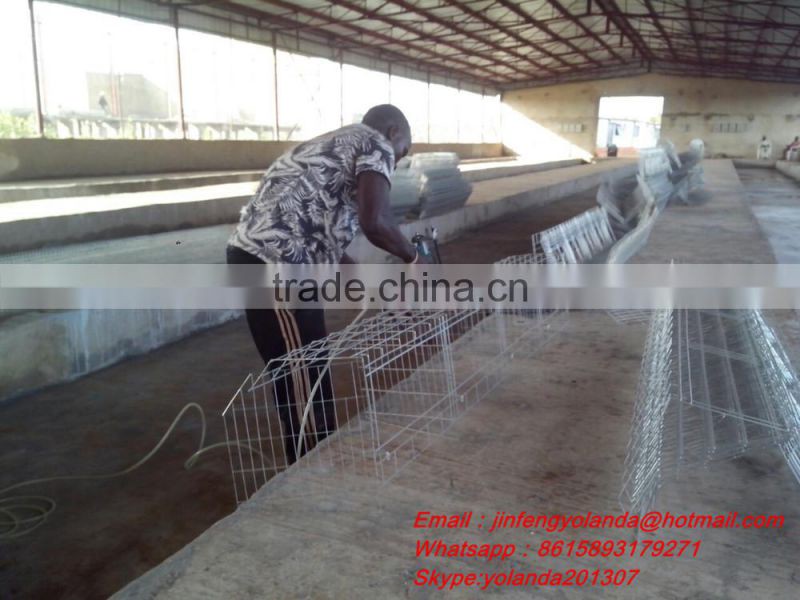 A type automatic chicken feeding system chicken cage