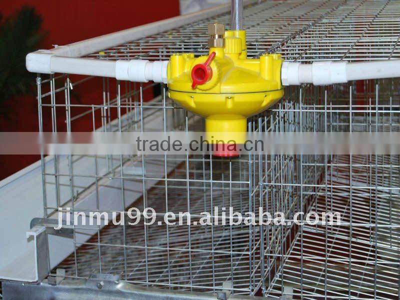 A type hotsale best quality automatic chicken cage