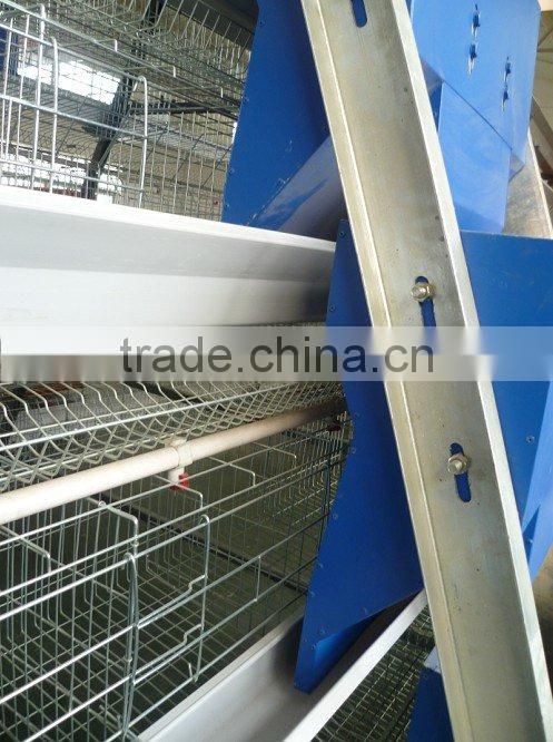 A type hotsale best quality automatic chicken cage
