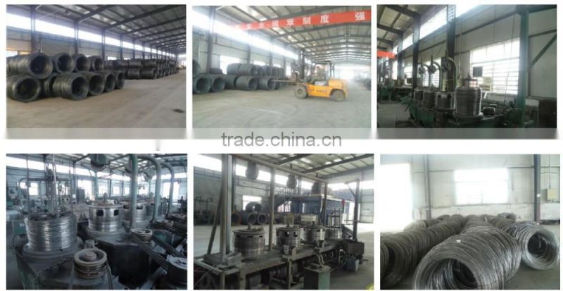 H type JINFENG Brand broiler chicken cage for tropical area/best price poultry equipment