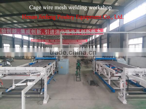 A type automatic chicken feeding system chicken cage