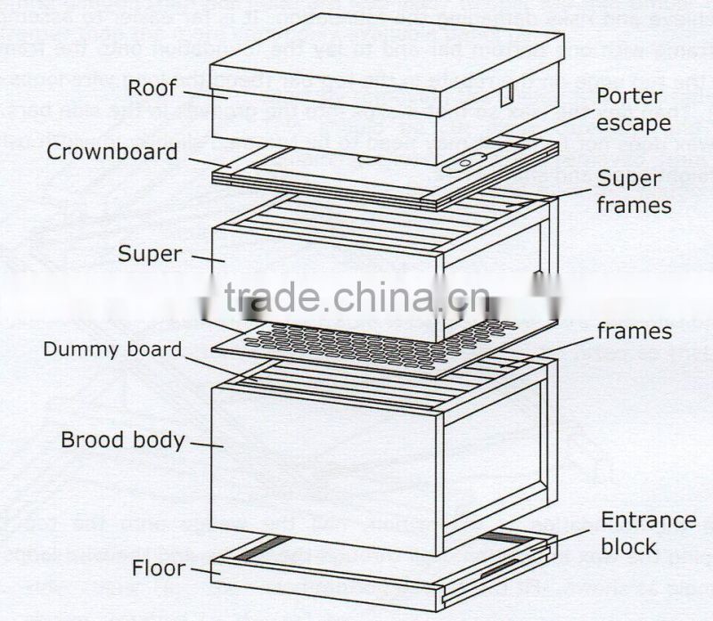8 Frames Langstroth Bee hive Two Layer Hive