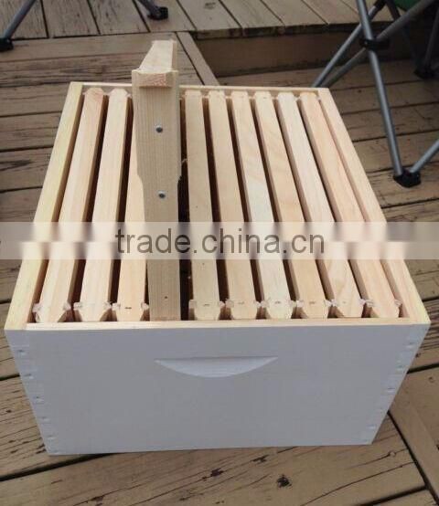 New pine wood 2 layer Australian langstroth bee hive
