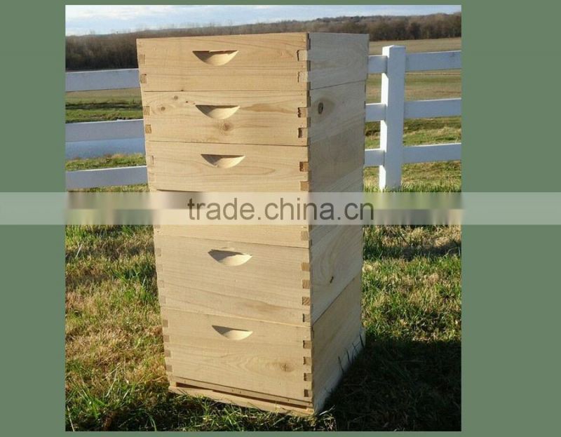 Low price and high quality honey beehive for beekeeping from chinese factory
