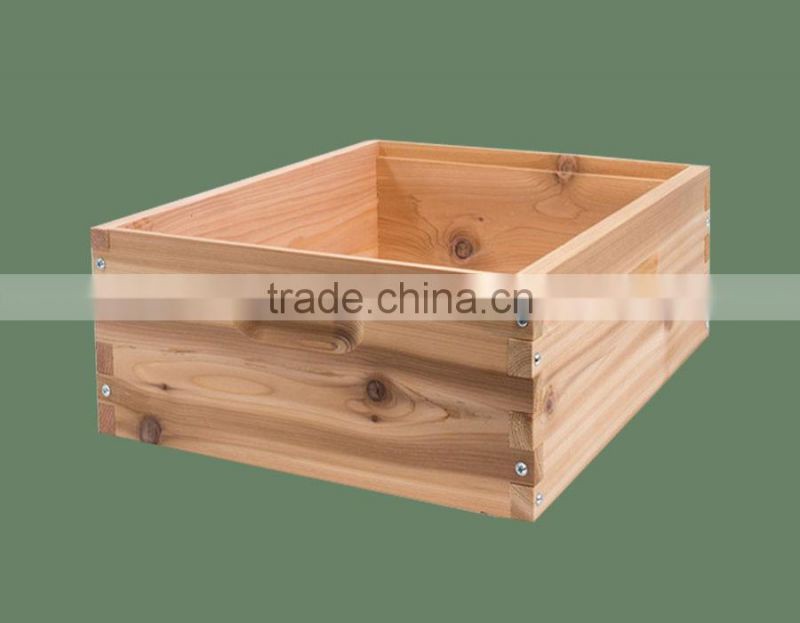 Low price and high quality honey beehive for beekeeping from chinese factory