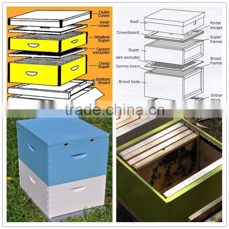 New pine wood 2 layer Australian langstroth bee hive