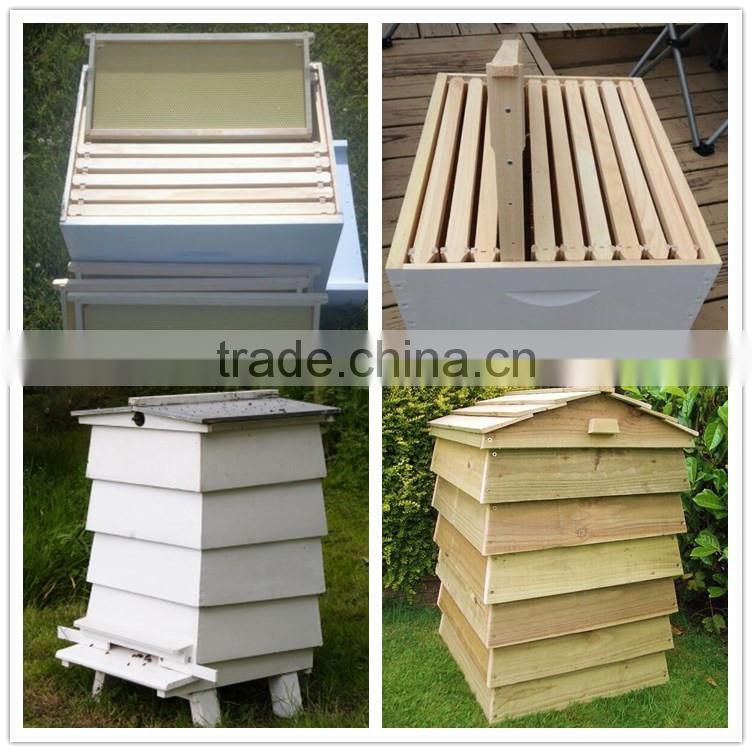 With low price Chinese plastic bee hive / fir wood langstroth bee hive /pine wooden bee hive