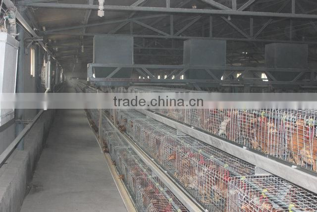 Welding wire mesh Chicken Equipment for Nigeria 15000 hens
