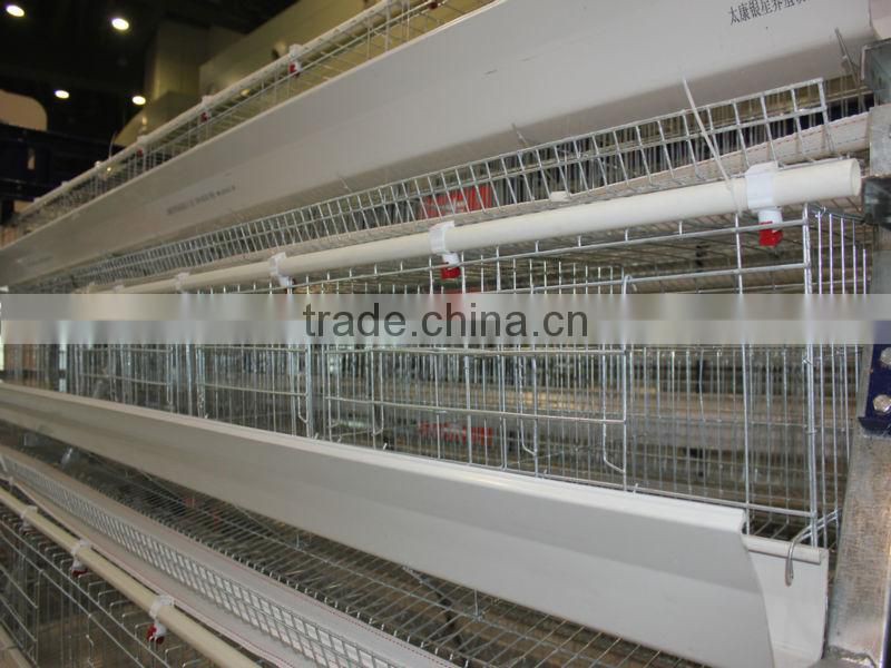 20000 Layer Farm Equipment large scale automatic project