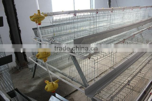 Leading quality Poultry House Cage designed for Kenya 15000 birds