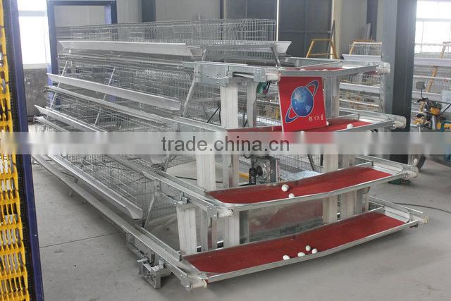 Leading quality Poultry House Cage designed for Kenya 15000 birds